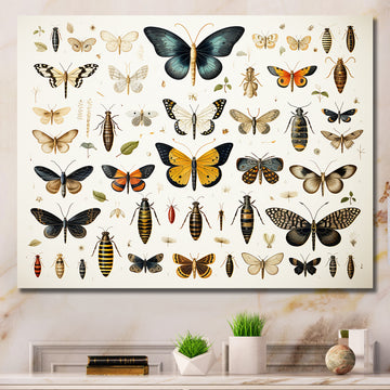 Yellow and blue Insects and Bugs - Insects & Bugs Framed Canvas Art